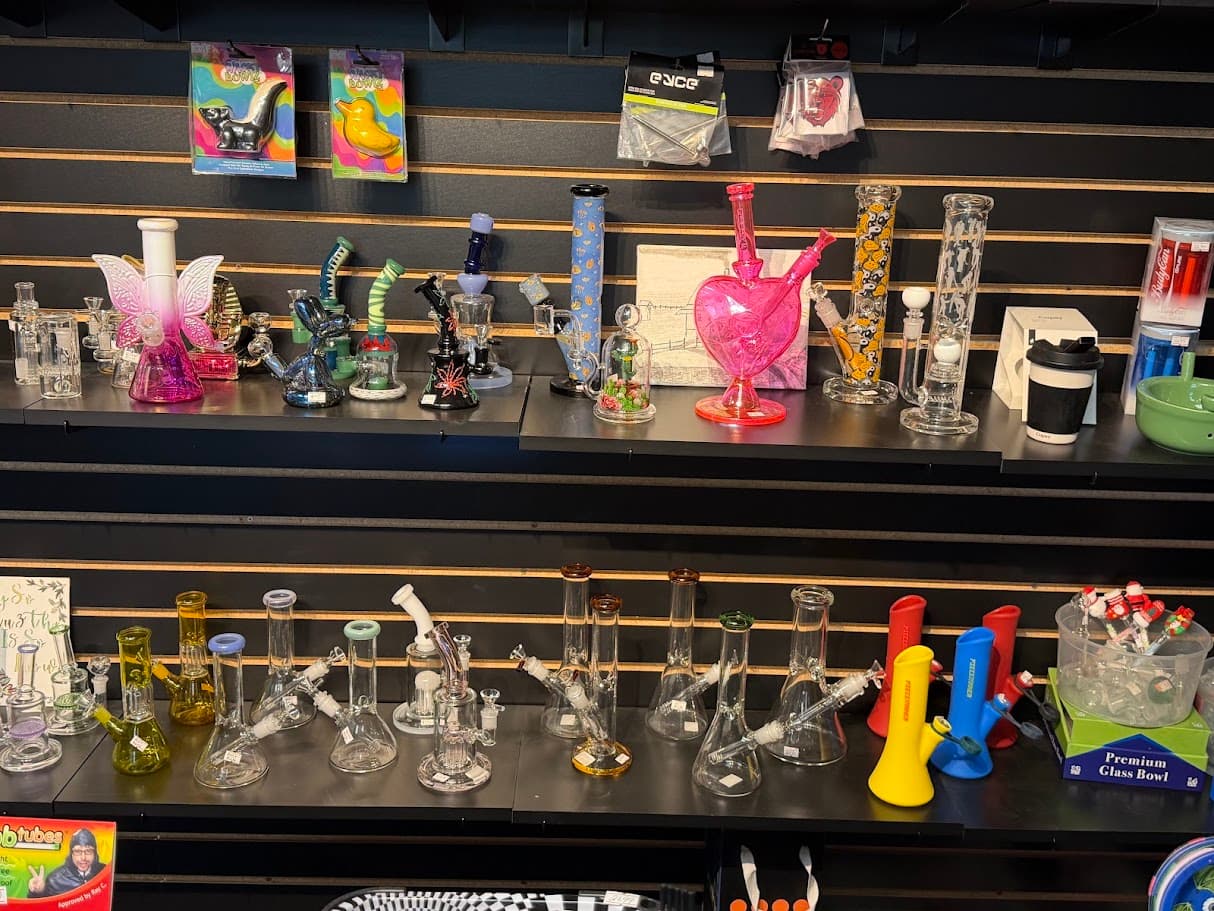 Glass Bongs and Pipes Display